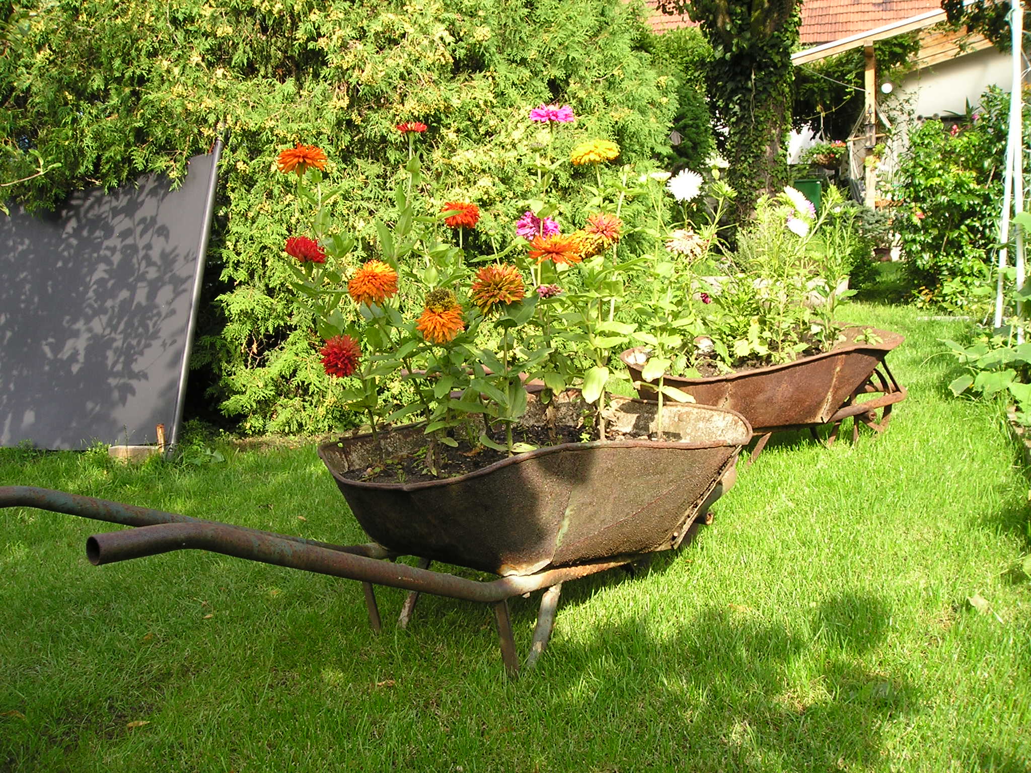kolečka 2010_1